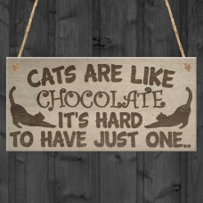 WOODEN PLAQUE - 200x100 - Cats Are Like Chocolate